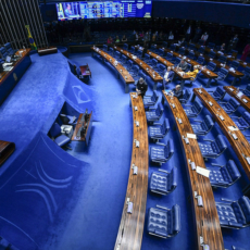 Saiba quem são os pré-candidatos ao Senado por Roraima em 2022