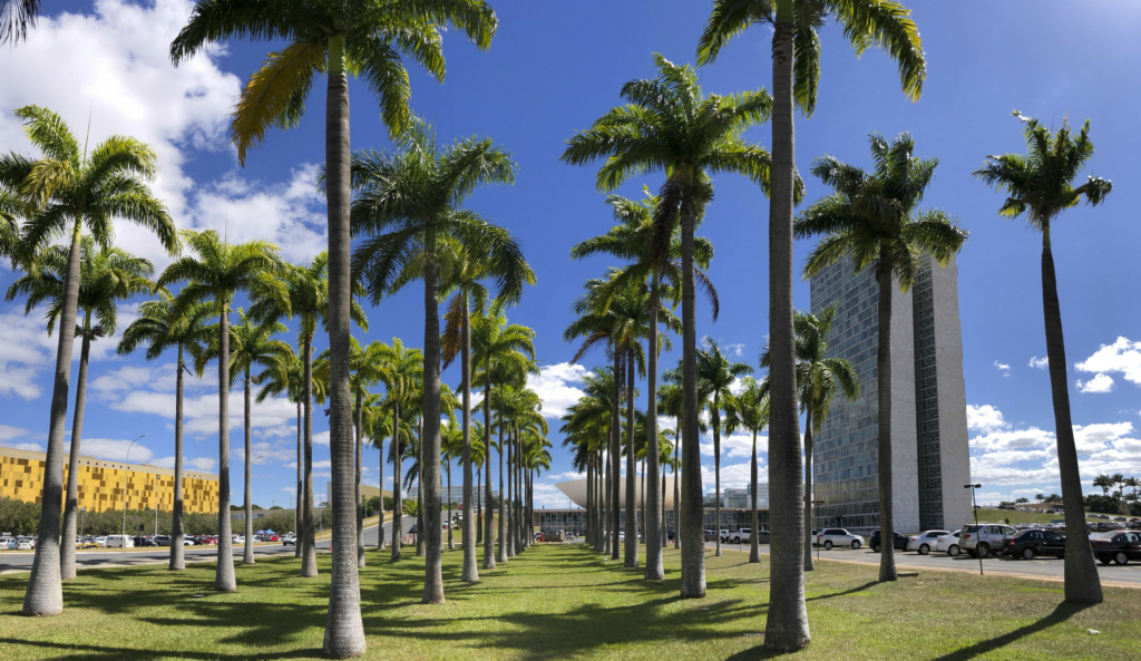 candidatos Senado Alagoas