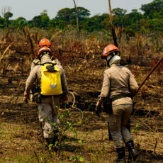 Ecocídio: por que a destruição do planeta ainda não é crime?