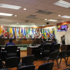O nascimento do direito antidiscriminatório interamericano