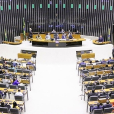 Quem são os candidatos a deputado federal considerados ‘puxadores de voto’