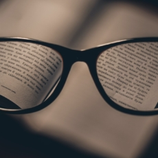 Economia e linguagem