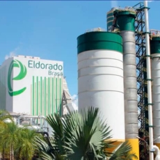 TRF4 mantém decisão que suspende transferência de ações da Eldorado para Paper Excellence