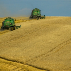 Investimento rural e suas especificidades