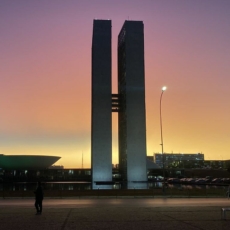 Direito público por um fio