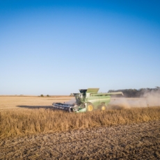 O agronegócio do futuro: variáveis e megatendências da produção nacional