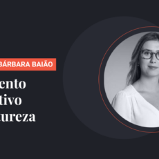 Orçamento impositivo por natureza