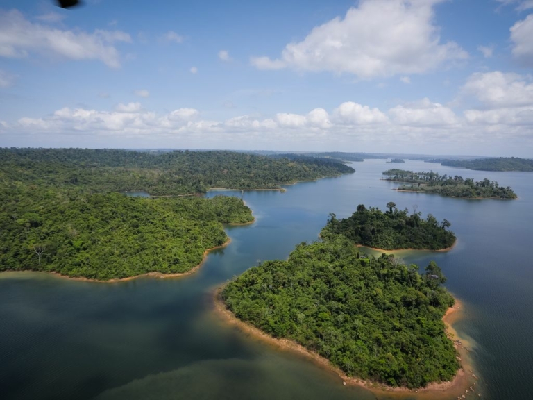 desinformação Amazônia