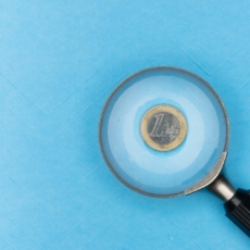 Quais os limites da auditoria operacional no controle de contas?