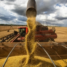CNA debate tributação indireta na cadeia do agro