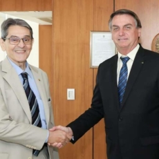 Malfeitores, ervas daninhas e a Constituição