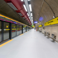 O programa paulista de parcerias sobreviverá?