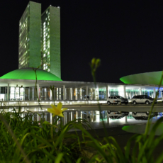 Meio ambiente sob disputa: um balanço do resultado do 1º turno
