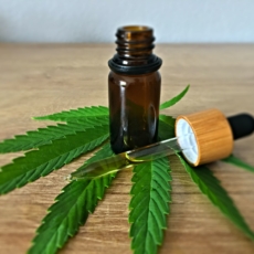 A nova resolução do CFM e o retrocesso sobre uso medicinal da cannabis