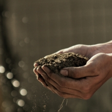 A reforma agrária e o desenvolvimento sustentável pós-pandemia