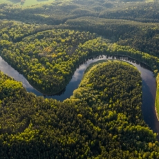 O projeto autocrático de Bolsonaro e o futuro climático do planeta