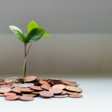Capital relacional, o capital da era da transparência