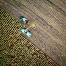 Lei institui Programa de Bioinsumos em Mato Grosso do Sul