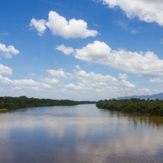 O compromisso dos Tribunais de Contas com a preservação ambiental