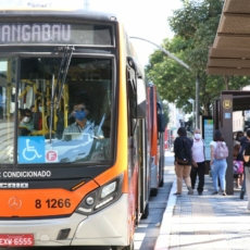 Em quais cidades haverá transporte público gratuito no segundo turno?