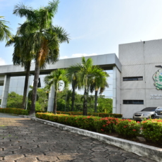 Wilson Lima x Eduardo Braga: os números dos candidatos a governador do Amazonas