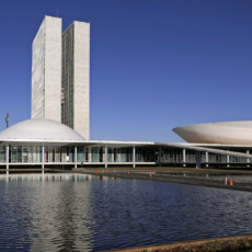 Contribuições para a pauta regulatória do novo governo – parte 1