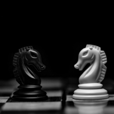 Como a regulação concorrencial do Digital Markets Act pode inspirar o SBDC?