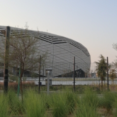 O que a Copa no Qatar pode nos ensinar sobre o mercado de créditos de carbono?