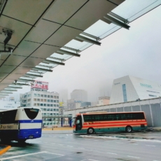 Tecnologias disruptivas e regulação dos transportes: a vez do modal rodoviário?