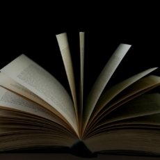 Paulo Leminski, jurista: o que dizer nos livros de homenagens?