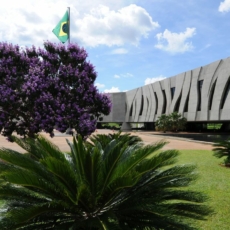 Julgamento sobre liquidação antecipada de seguro-garantia no STJ tem pedido de vista