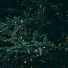 O Natal especial de Papa Panov