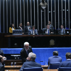 A cor da política: eleições e comissões de heteroidentificação