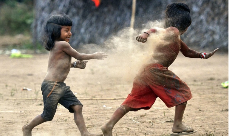 crise yanomami
