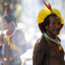 A regulação do caso yanomami