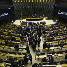 O que a última legislatura da Câmara nos diz sobre a política criminal brasileira?