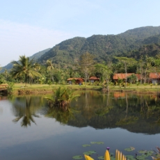 Secretaria Nacional de Bioeconomia é uma conquista para a Amazônia
