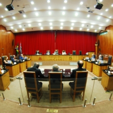 A desconsideração da personalidade jurídica pelos Tribunais de Contas