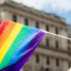 Impacto transformador do sistema interamericano e os direitos das pessoas LGBTIQ+