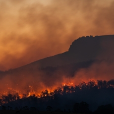 A relação entre mudanças climáticas, saúde e o contexto brasileiro