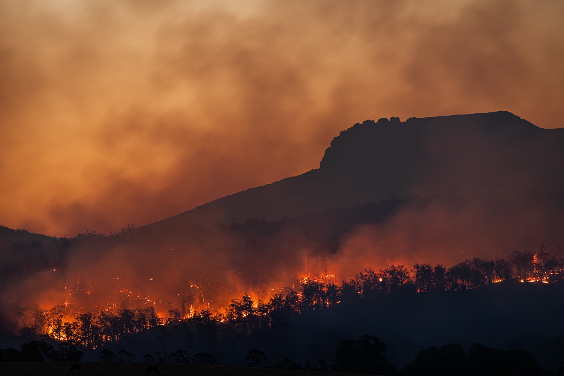 mudanças climáticas saúde e contexto brasileiro