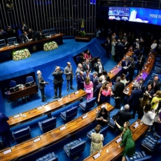 Quais os limites das emendas parlamentares em PLs de iniciativa privativa?