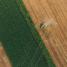 Cadeia de valor do agronegócio e o consumidor como agente atuante