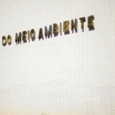A ‘reforma’ do Conama: da promessa à frustração