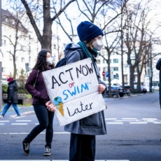 Litígios climáticos devem se transnacionalizar