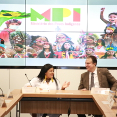 1,6 milhão de vozes indígenas