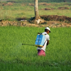 TRF4 mantém condenação de agricultor que importava agrotóxicos ilegalmente