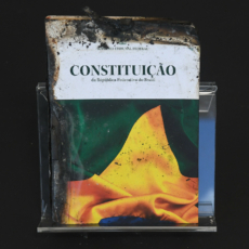 Disputas sobre o sentido de Constituição durante a ditadura militar