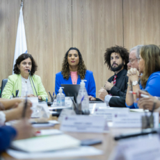 Cotas raciais na administração pública: um quadro democrático de baixa densidade