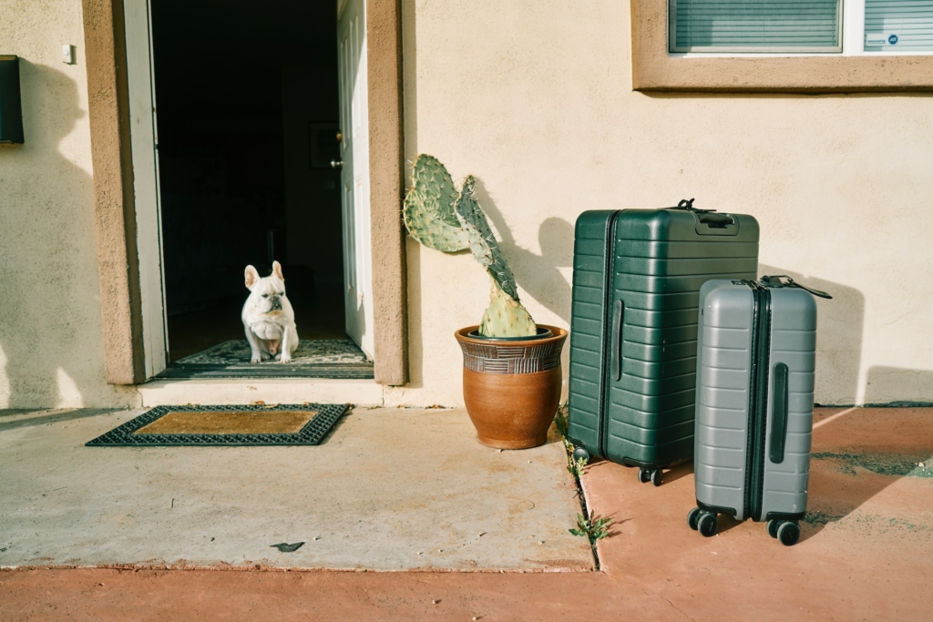 Transporte de pets: regulamentação das empresas aéreas e intervenção do Judiciário